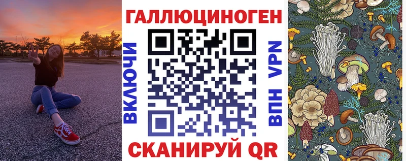 Галлюциногенные грибы GOLDEN TEACHER  МЕГА зеркало  Юрьев-Польский  продажа наркотиков 